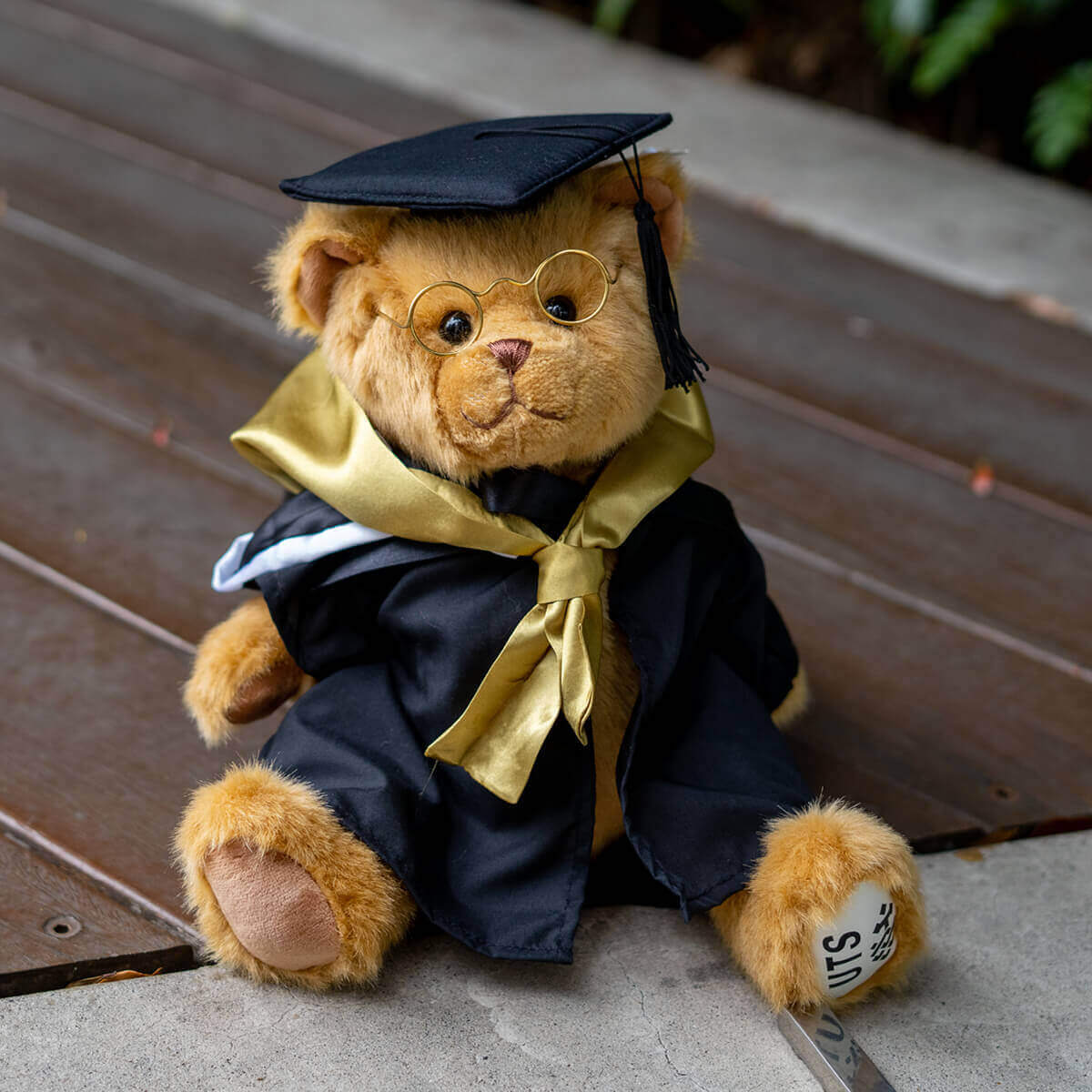 UTS Goldie Bear with Graduation Hood Activate UTS