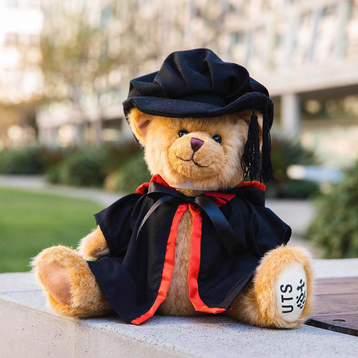 UTS Graduation PHD bear Activate UTS
