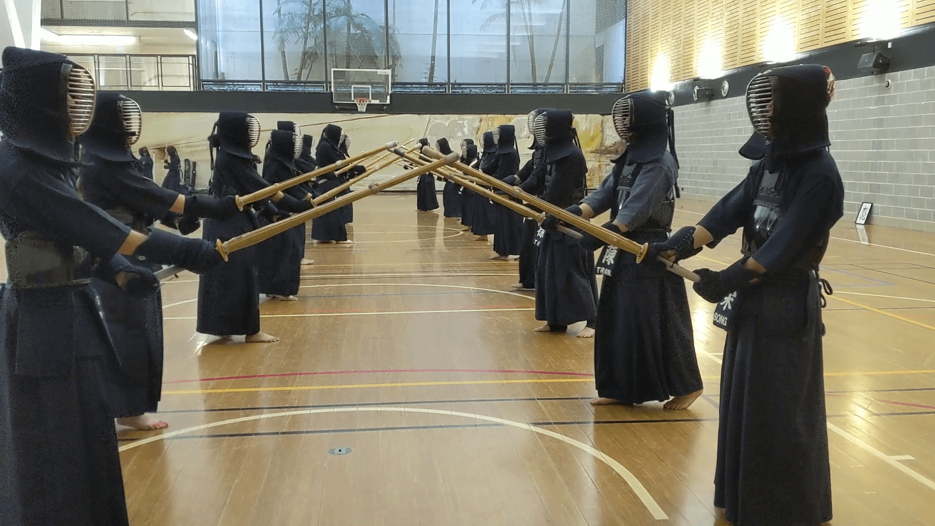 Autumn Beginners Program 2024 Activate UTS