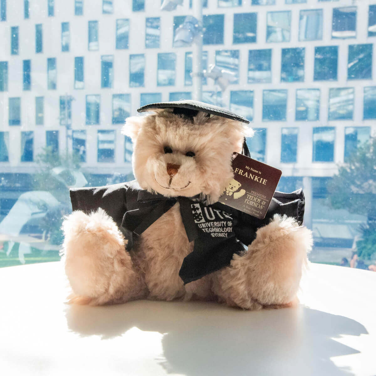 UTS Graduation Bear Frankie Activate UTS