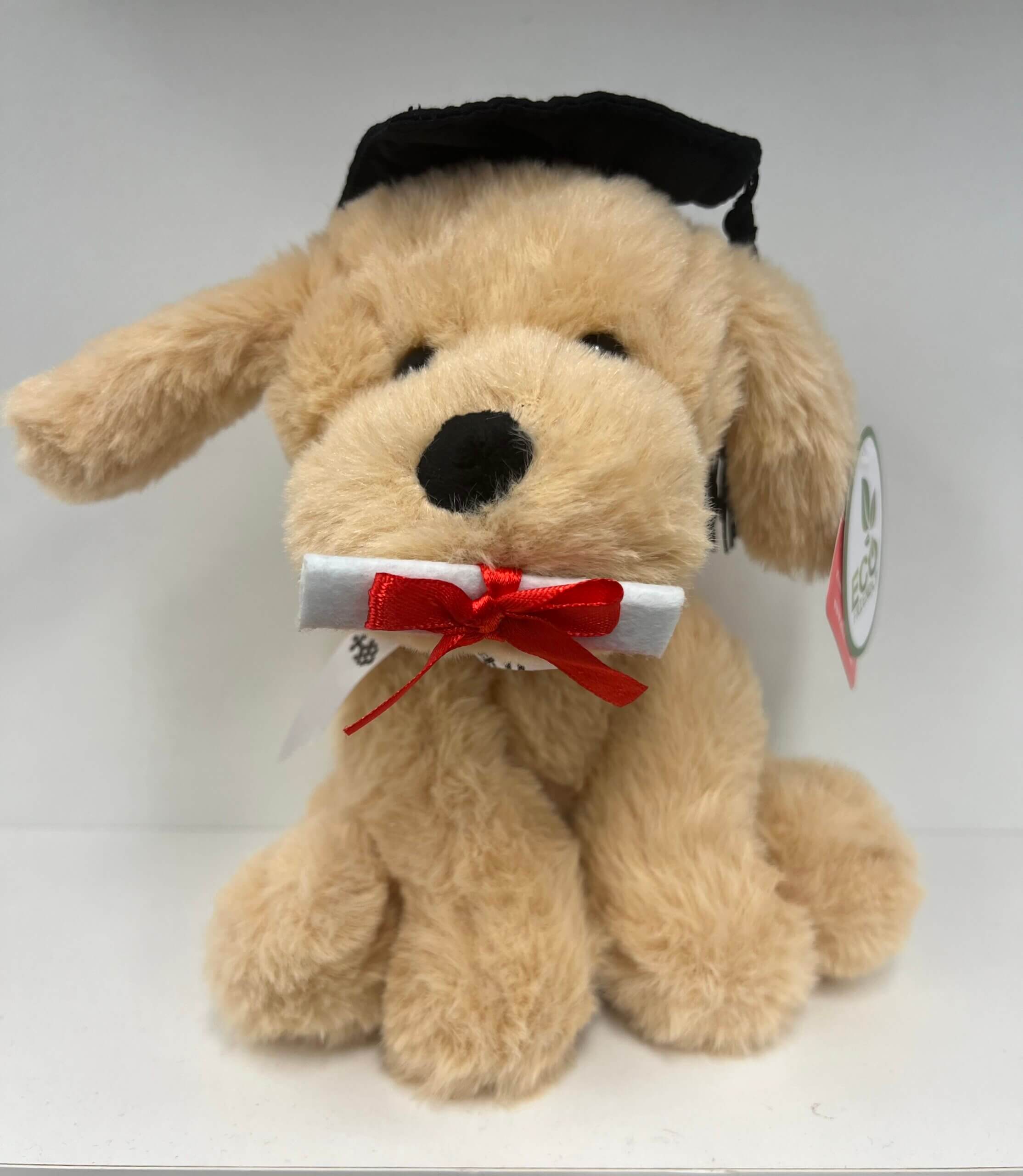 Graduation dog activate uts
